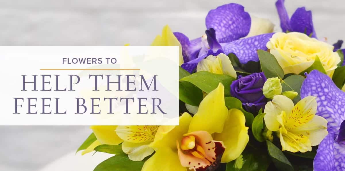 Helpful Tips For Sending Fresh Flowers To Loved Ones in the Hospital Absolutely Beautiful
