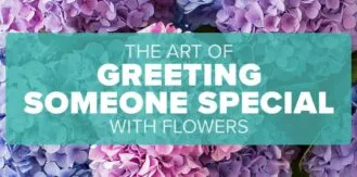 FM4-Bold-Reunited-Blog